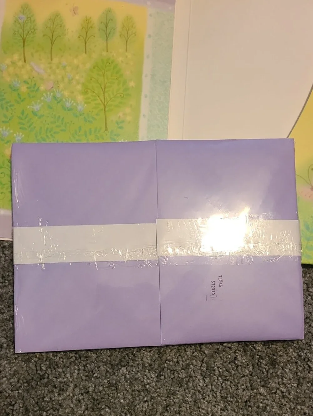 Stationery, Note Card Sets / Diary